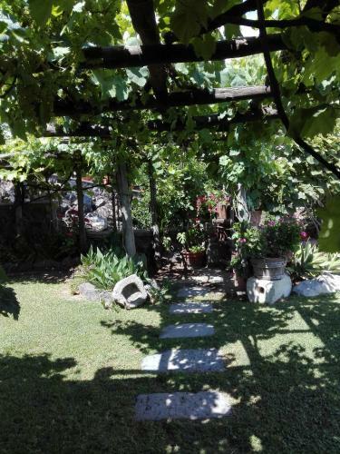 Apartamento Il Vigneto