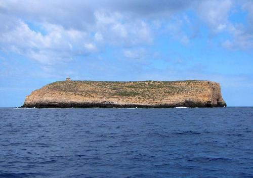 Barca A Vela Delfina