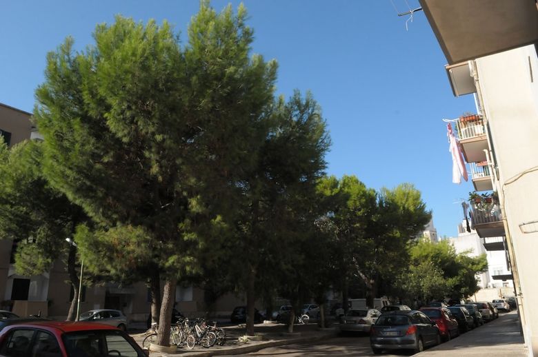 Hostal Della Torre Rooms