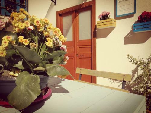 Bed & Breakfast Le Soste Di Finzia