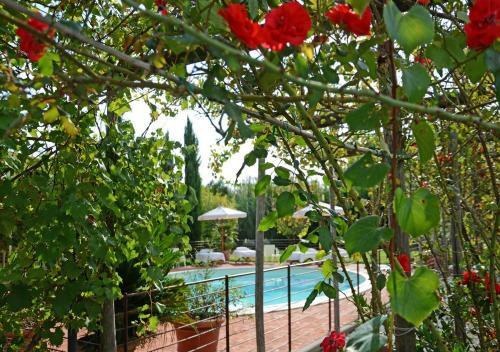 Apartamento Jardin Blanc