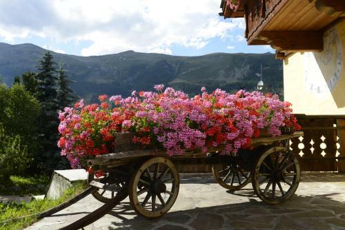 Apartamento Chalet Garden