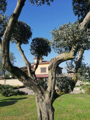 Ponte Vestilli B&B