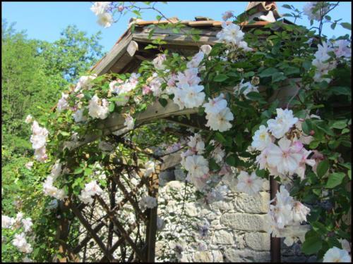 Lugliano Villa Sleeps 6 Pool Wifi