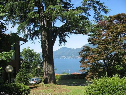 Apartamento Cordelia 5