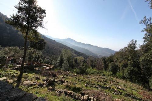 Bed & Breakfast Fonte Di Zeno