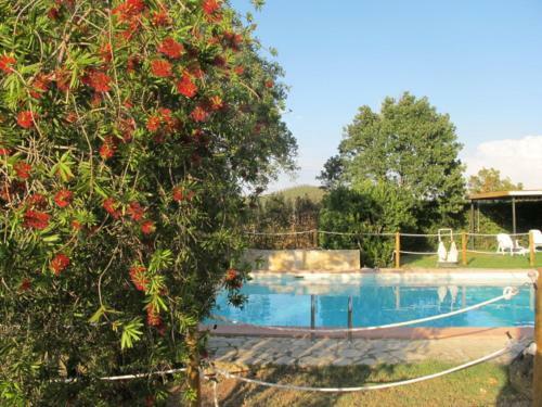 Hostal Residenza D'epoca Le Pisanelle