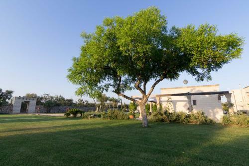 Bed & Breakfast Masseria Sorani