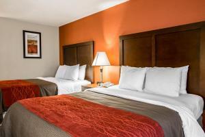 Hotel Comfort Inn