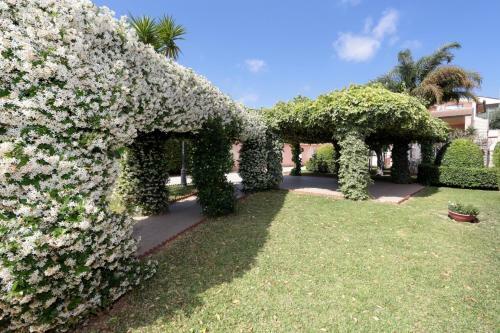 Villa Graziella