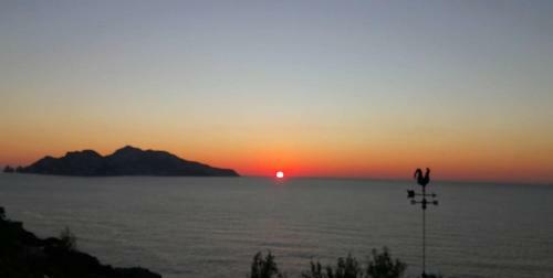 Sunset In Relax