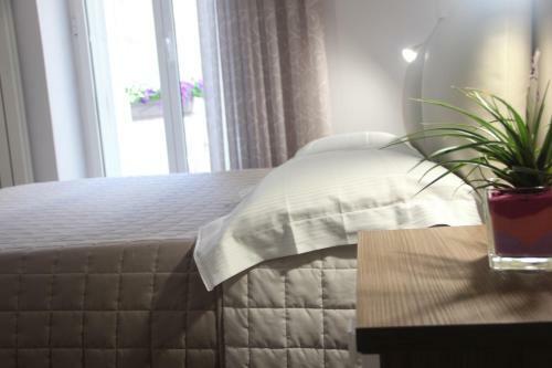 Hostal Matera Guest House