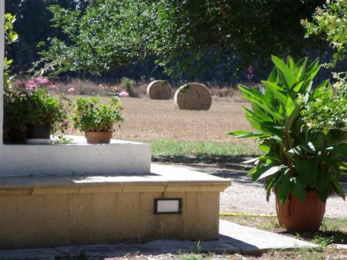 Agroturismo Agriturismo San Marco