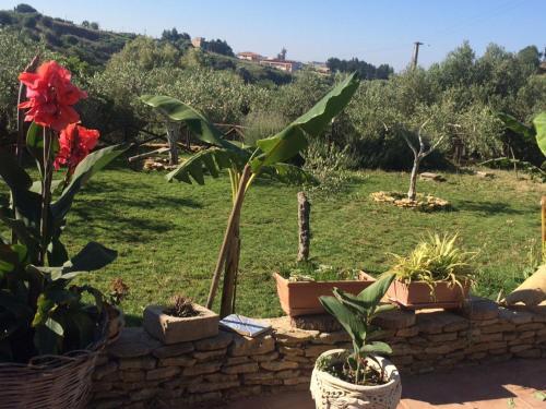 Villa Locazione Turistica Il Melograno