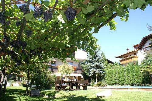 Hotel Garni Weingut