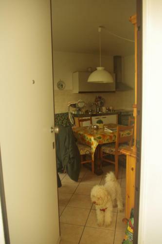 Condominio Vite