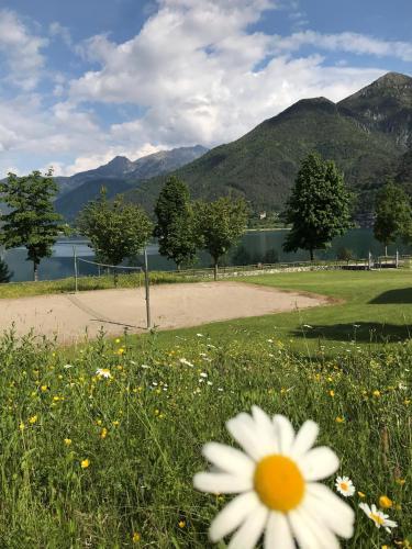 Apartments In Molina Di Ledro 35137