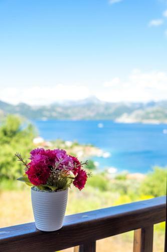 Bed & Breakfast Masal Tatilevi