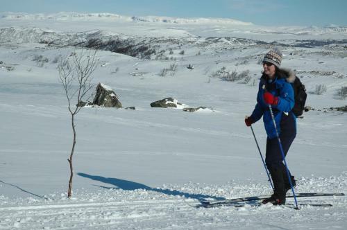 Lodge Hakkesetst�len Hytter
