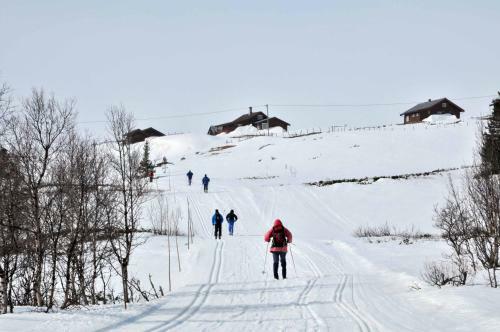 Aparthotel Havsdalsgrenda Geilo