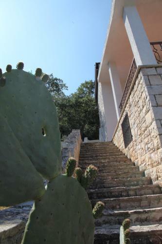 Villa La Dimora Del Cuore