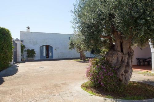 A Casa Di Fl�