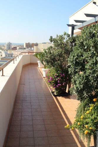 Apartamento Isolaazzurra