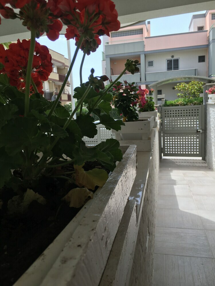 Hostal Quinque - Urban House