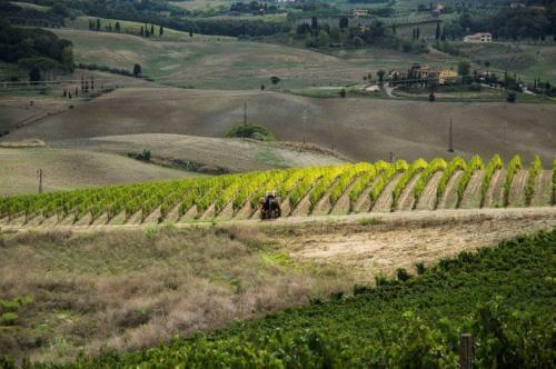 Agroturismo Relais Pugliano