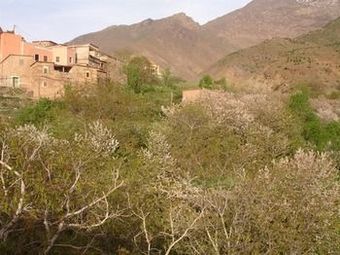 Hostal Dar Atlas