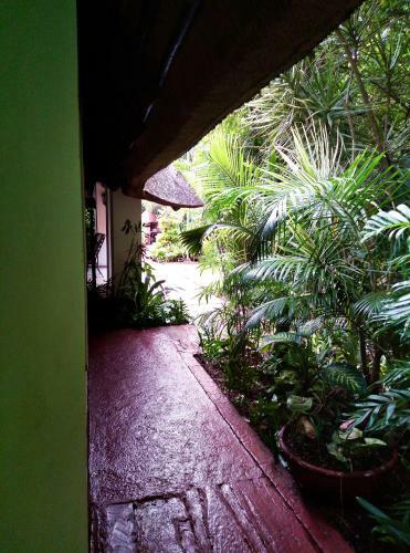 Hostal African Ambience Guest House