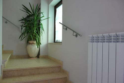 Hotel Cenzo