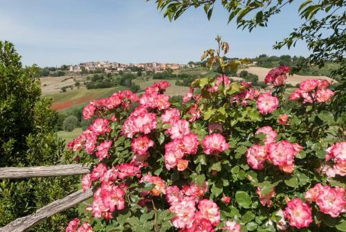 Otricoli Villa Sleeps 8 Pool Wifi
