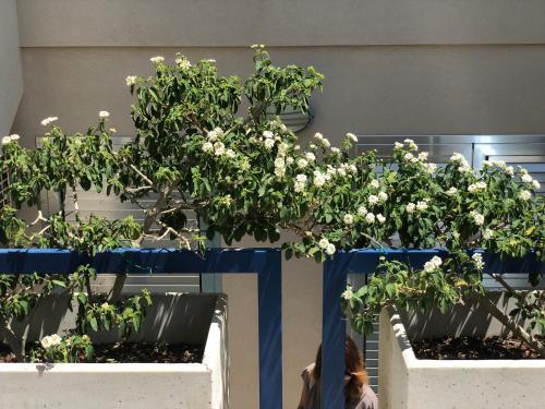 Apartamento Monolocale Otranto Blu