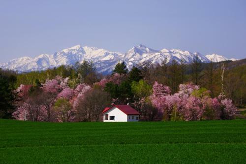 Lodge Pension Ashitaya