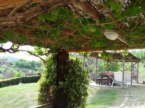 Apartamento Casale Poggio Colpiccione