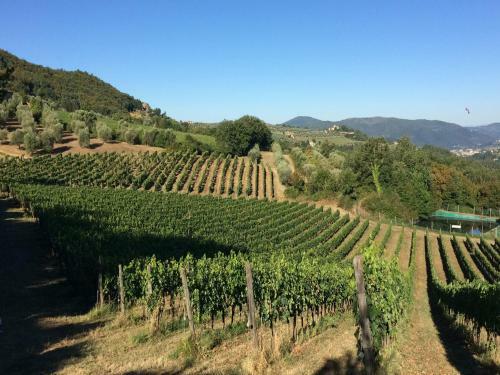 Agroturismo Agriturismo Il Trebbio