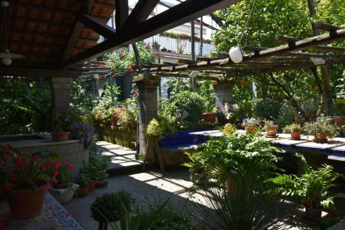 Villa Ninnella