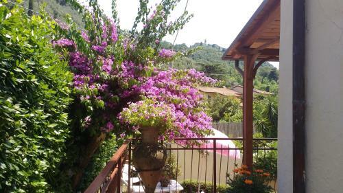 Apartamento La Bouganville E Il Gelsomino