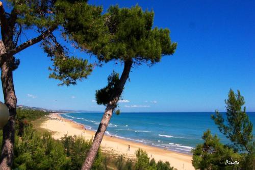 Apartamento Ficus 2 Pineto Vacanza