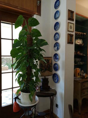 Bed & Breakfast Wanderlust Bnb