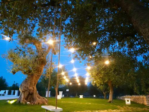Bed & Breakfast Masseria Almadava