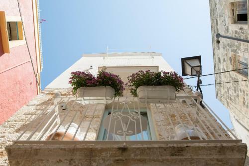 Bed & Breakfast La Naca Sul Porto