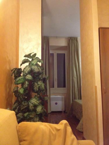 Hostal Re Di Roma Rooms
