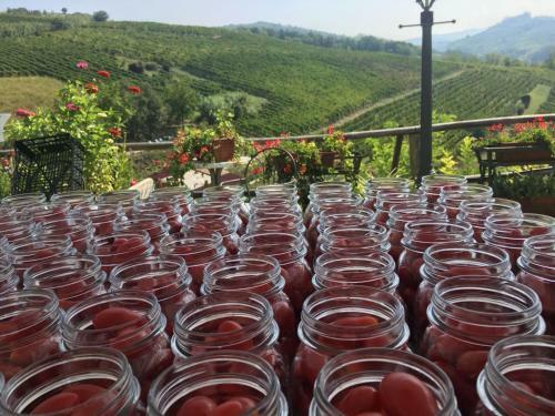 Agroturismo Borgo Santuletta