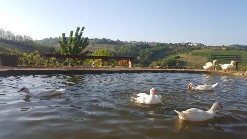 Agroturismo Borgo Santuletta