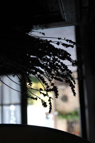Agroturismo Borgo Santuletta