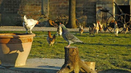 Agroturismo La Spagnera