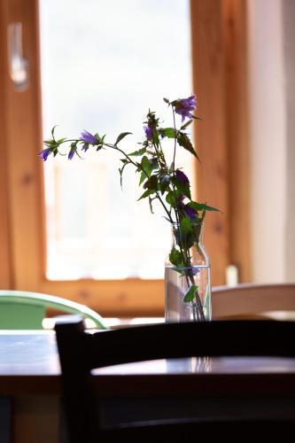 Bed & Breakfast Limaro Beb