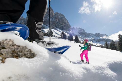 Apartments Sella
